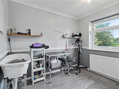 Picture 20